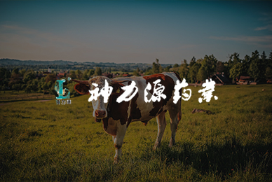 神力源动物药业集团