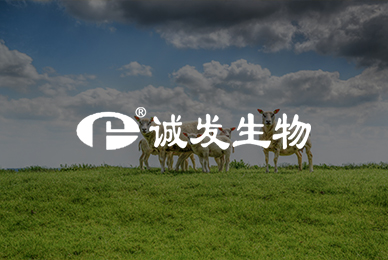 诚发生物动物药业有限公司