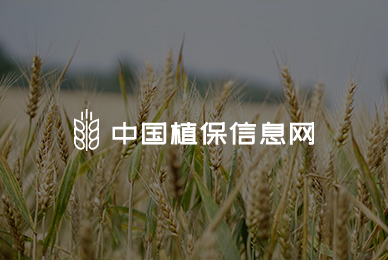 中国植保信息网